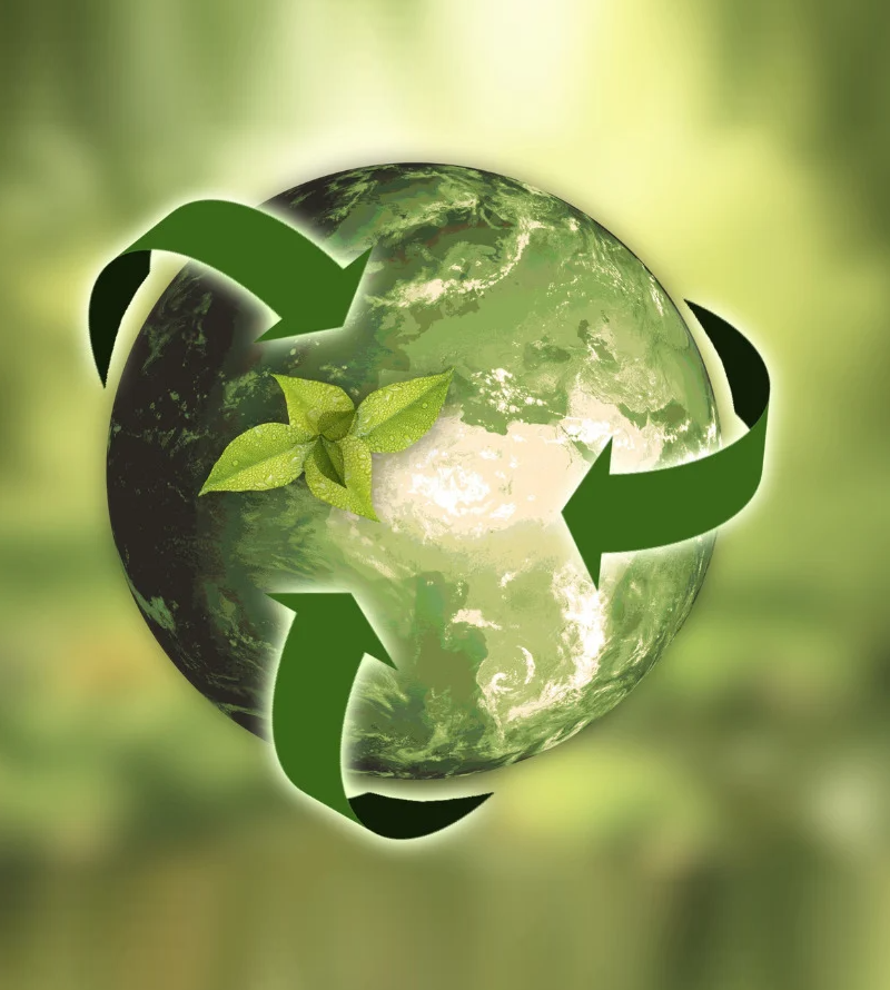 Sustainable Biopolymers